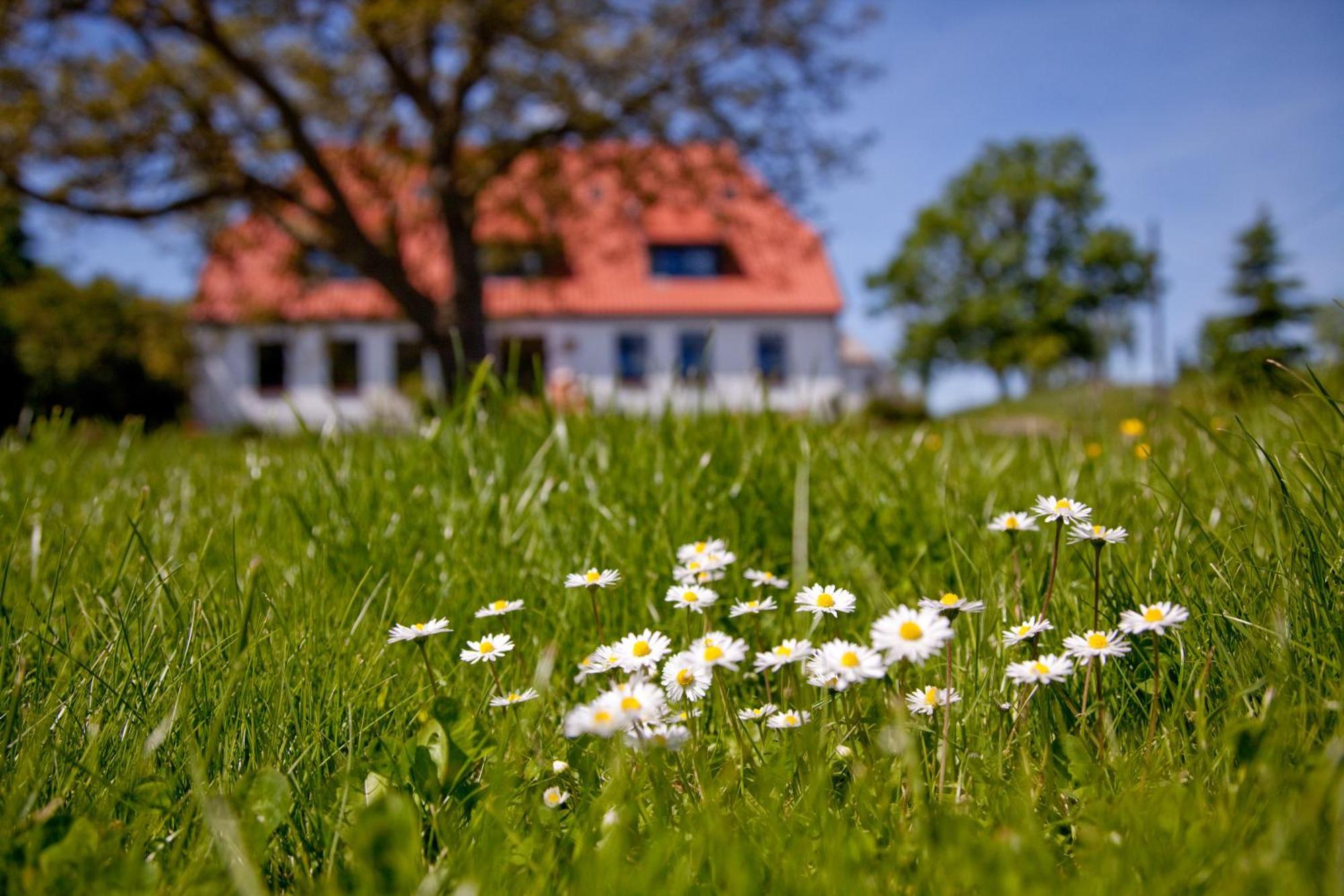Hotel Gutshaus Ketelshagen Putbus Exterior foto